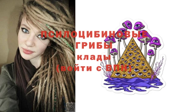 индика Саяногорск